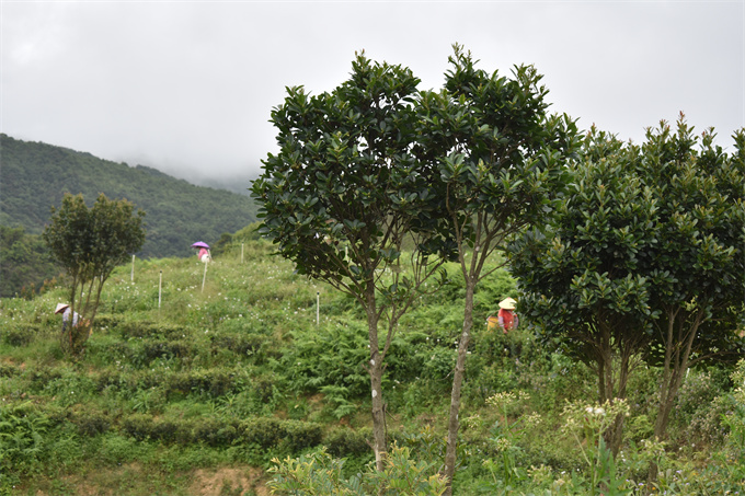 基地風(fēng)采