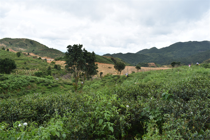 基地風(fēng)采